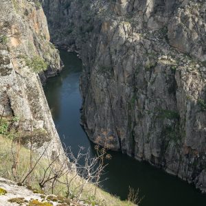 Douro_14_029.jpg