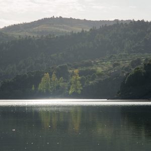 Douro_14_074.jpg
