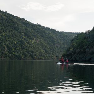 Douro_14_084.jpg