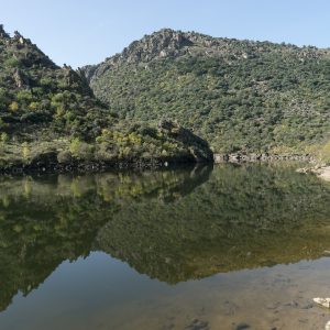 Douro_14_086.jpg