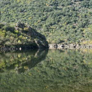 Douro_14_088.jpg