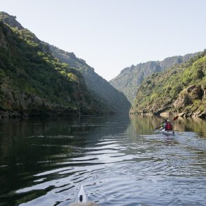 Douro_14_094.jpg