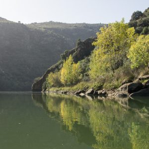 Douro_14_113.jpg