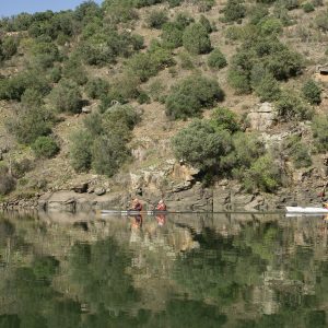 Douro_14_114.jpg