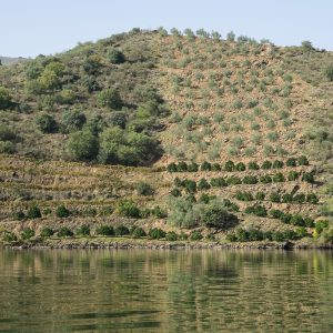 Douro_14_164.jpg