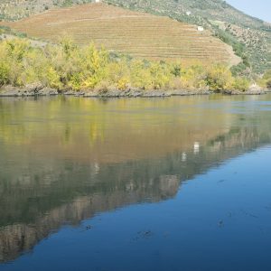 Douro_14_170.jpg