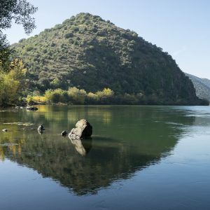 Douro_14_172.jpg