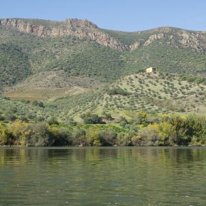 Douro_14_197.jpg