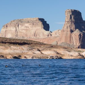 Powell_2015_084.jpg