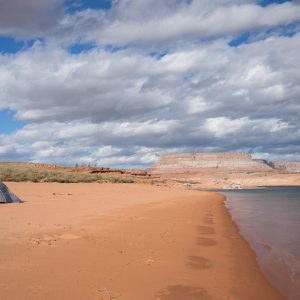 Powell_2015_102.jpg