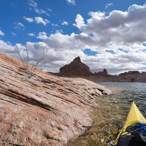 Powell_2015_118.jpg