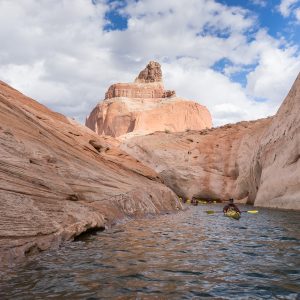 Powell_2015_129.jpg