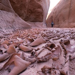 Powell_2015_133.jpg