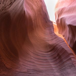 Powell_2015_136.jpg