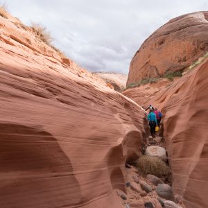 Powell_2015_138.jpg