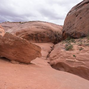 Powell_2015_139.jpg