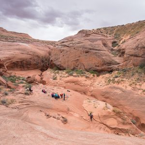 Powell_2015_142.jpg