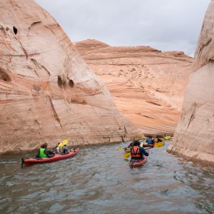 Powell_2015_148.jpg