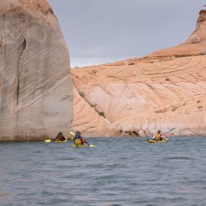 Powell_2015_150.jpg