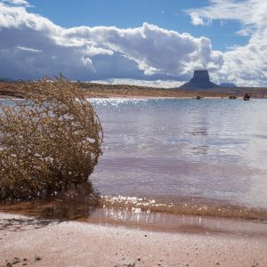 Powell_2015_188.jpg