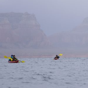 Powell_2015_200.jpg