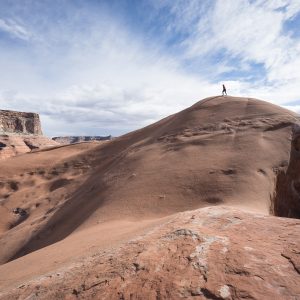 Powell_2015_216.jpg