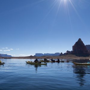 Powell_2015_233.jpg