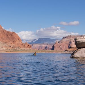 Powell_2015_236.jpg