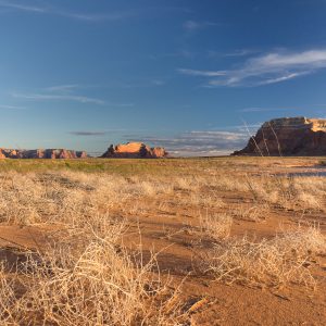 Powell_2015_247.jpg