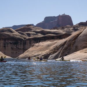 Powell_2015_269.jpg