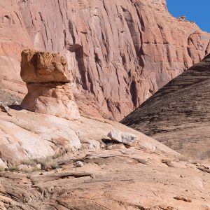 Powell_2015_276.jpg