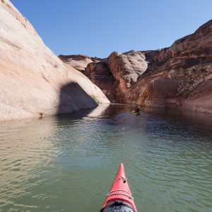Powell_2015_278.jpg