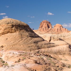 Powell_2015_286.jpg
