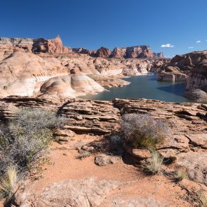 Powell_2015_287.jpg