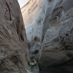 Powell_2015_316.jpg