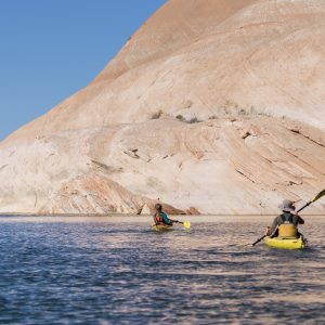 Powell_2015_317.jpg