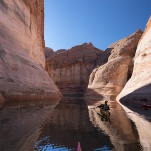 Powell_2015_320.jpg