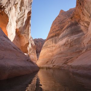 Powell_2015_321.jpg