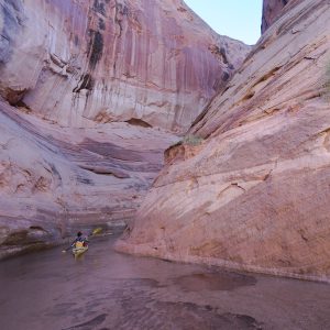 Powell_2015_322.jpg