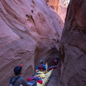 Powell_2015_324.jpg