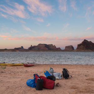 Powell_2015_331.jpg
