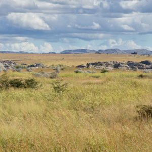 Madagascar_1104-057-1.jpg