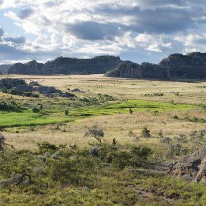 Madagascar_1104-062-1.jpg