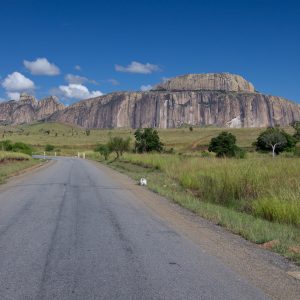 Madagascar_1104-072-1.jpg
