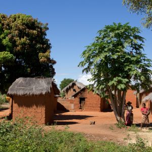 Madagascar_1104-075-1.jpg