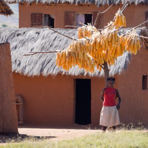 Madagascar_1104-076-1.jpg