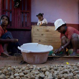 Madagascar_1104-101-1.jpg
