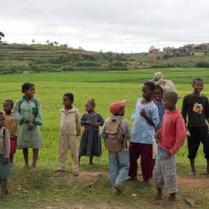 Madagascar_1104-112-1.jpg