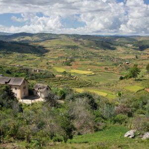 Madagascar_1104-114-1.jpg
