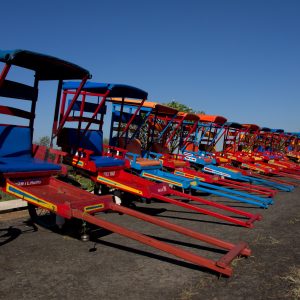 Madagascar_1104-119-1.jpg